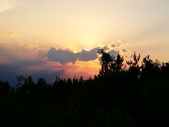 Silhouette trees against sky during sunset