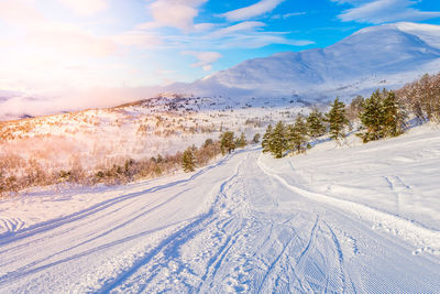 Scenic view of snow covered land against sky