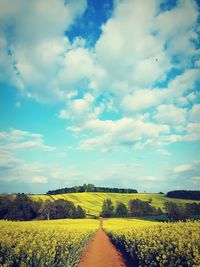 Scenic view of field against sky