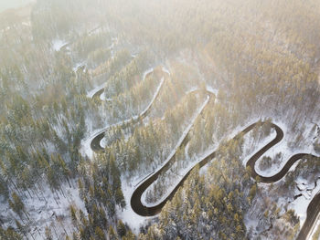 High angle view of fish in snow