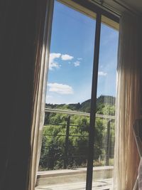 View of trees through window