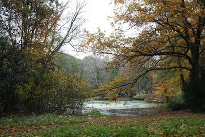 Scenic view of lake in forest against sky