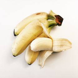 Close-up of food on white background