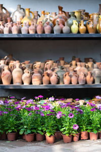 Lot of handicraft ceramic pots and vases with blooming plant flowers indoors, selective focus