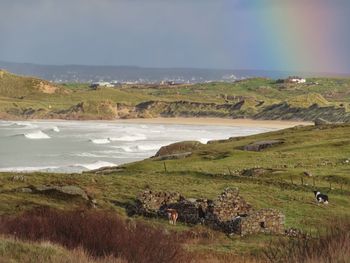 Scenic view of landscape against sky
