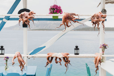 Food on railing against sea and sky