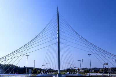 cable-stayed bridge