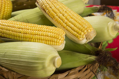 Close-up of vegetables on table