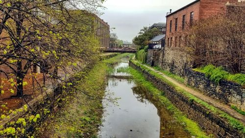 Canal amidst trees and buildings against sky