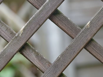 Close-up of fence