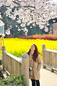 Smiling woman looking at blossoms on branch at public park