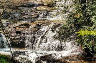 River flowing through rocks in forest