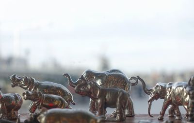 Close-up of elephant figurines