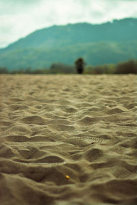 Surface level of sandy beach against sky