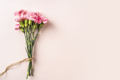 Close-up of pink flower vase against white background