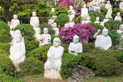 Buddha statues amid plants