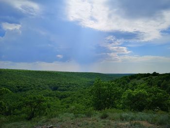 Scenic view of field against sky