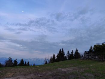 Trees on landscape against sky