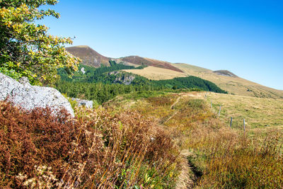 Scenic view of landscape against clear blue sky