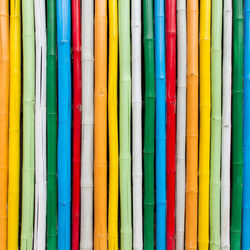 Full frame shot of multi colored bamboos