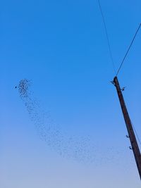 Low angle view of birds flying against clear blue sky