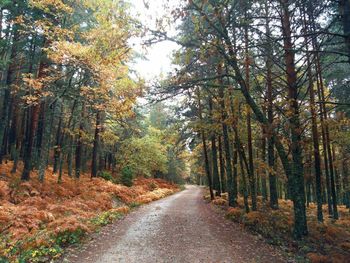 Empty narrow road along countryside landscape