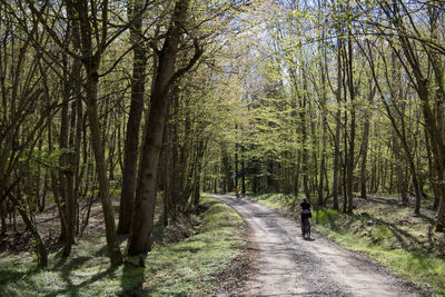 Rear view of man walking in forest