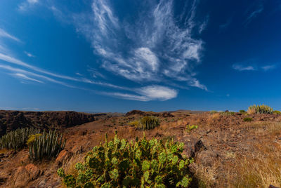 Scenic view of landscape against blue sky