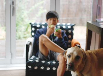 Portrait of dog against boy using phone on armchair
