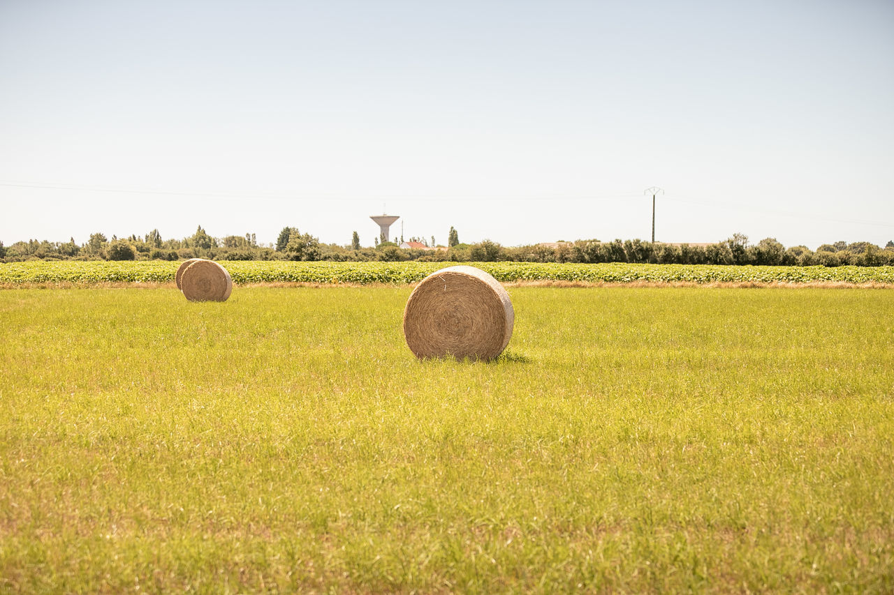 HAY BALES IN FIELD AGAINST SKY