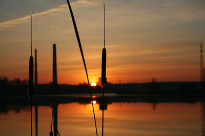 Scenic view of reed by river against romantic sky at sunrise