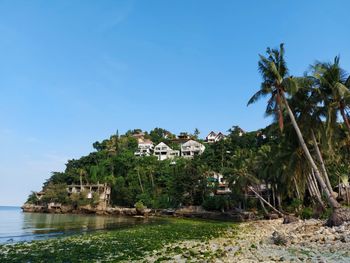 Scenic view of palm trees by building against sky