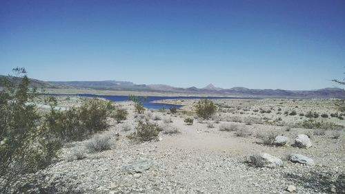 Scenic view of landscape against clear blue sky