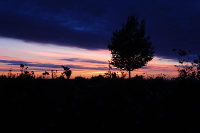 Silhouette trees on field against sky during sunset