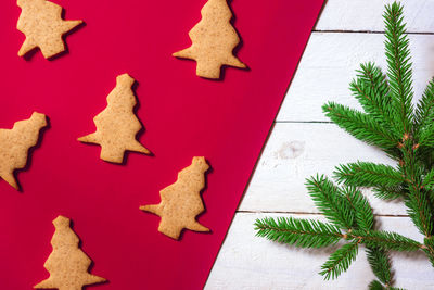 Close-up of cookies on table