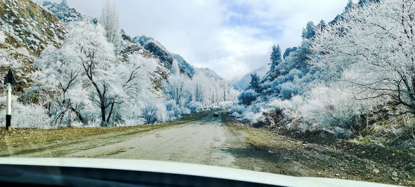 Road amidst trees seen through car windshield