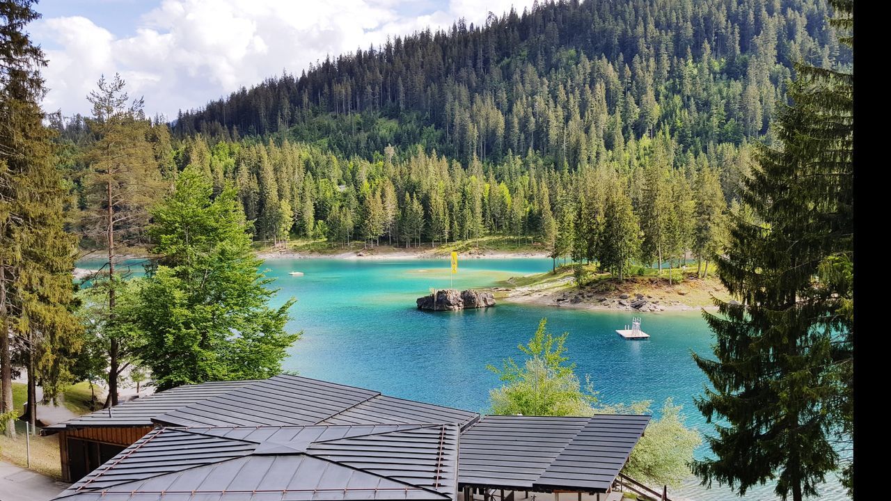 SCENIC VIEW OF LAKE IN FOREST