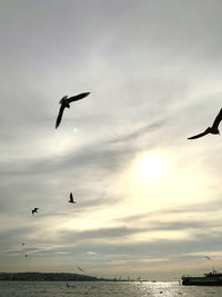 Seagull flying over sea against sky