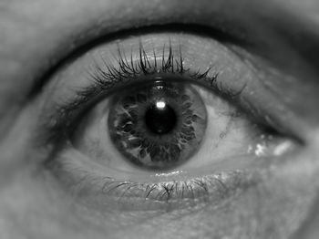 Close-up portrait of human eye
