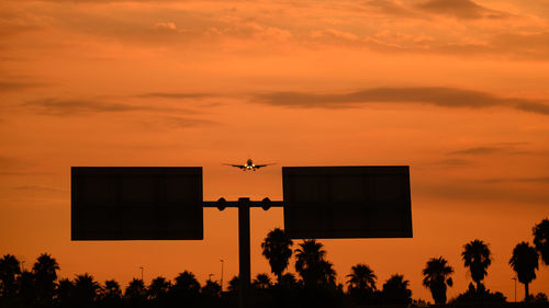 Airplane landing during a summer sunset