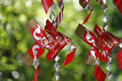 Close-up of christmas decorations hanging on tree