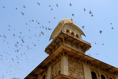 Low angle view of birds flying against sky