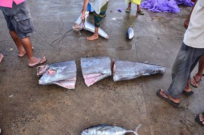 Low section of people standing on a cutting tuna on fish market 