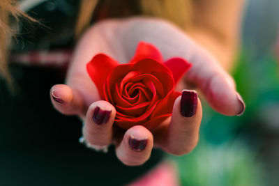 Handful of rose