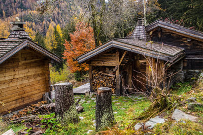 House amidst trees and plants in forest during autumn