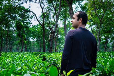 Man standing at tea garden closeup shot with blurred background at day from flat angle