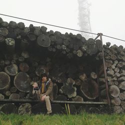 Stack of firewood against clear sky