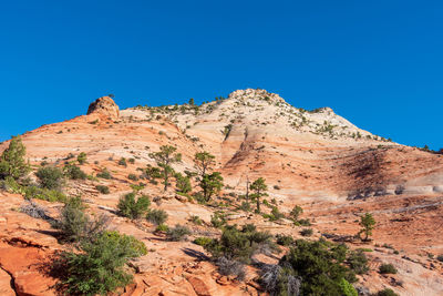 Zion national park low angle landscape of orange and white stone at checkerboard mesa