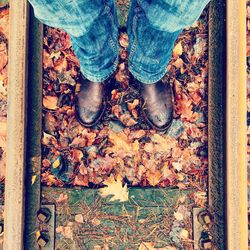 Low section of man standing on autumn leaves