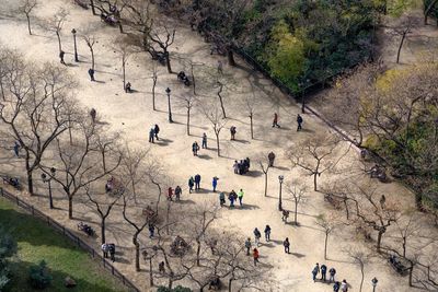 High angle view of tourists in park